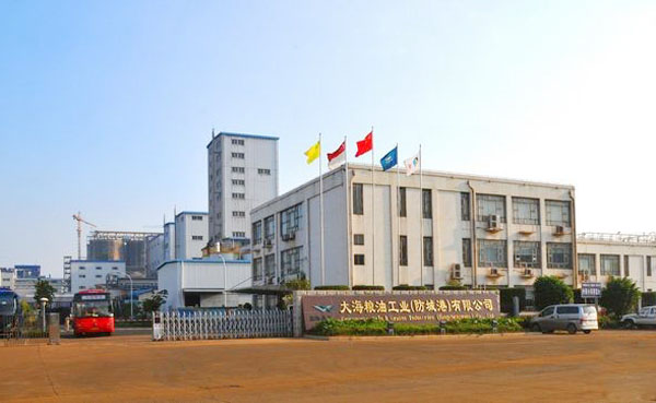 廣西大海糧油大豆磷脂油輸送泵用遠東不銹鋼齒輪泵案例